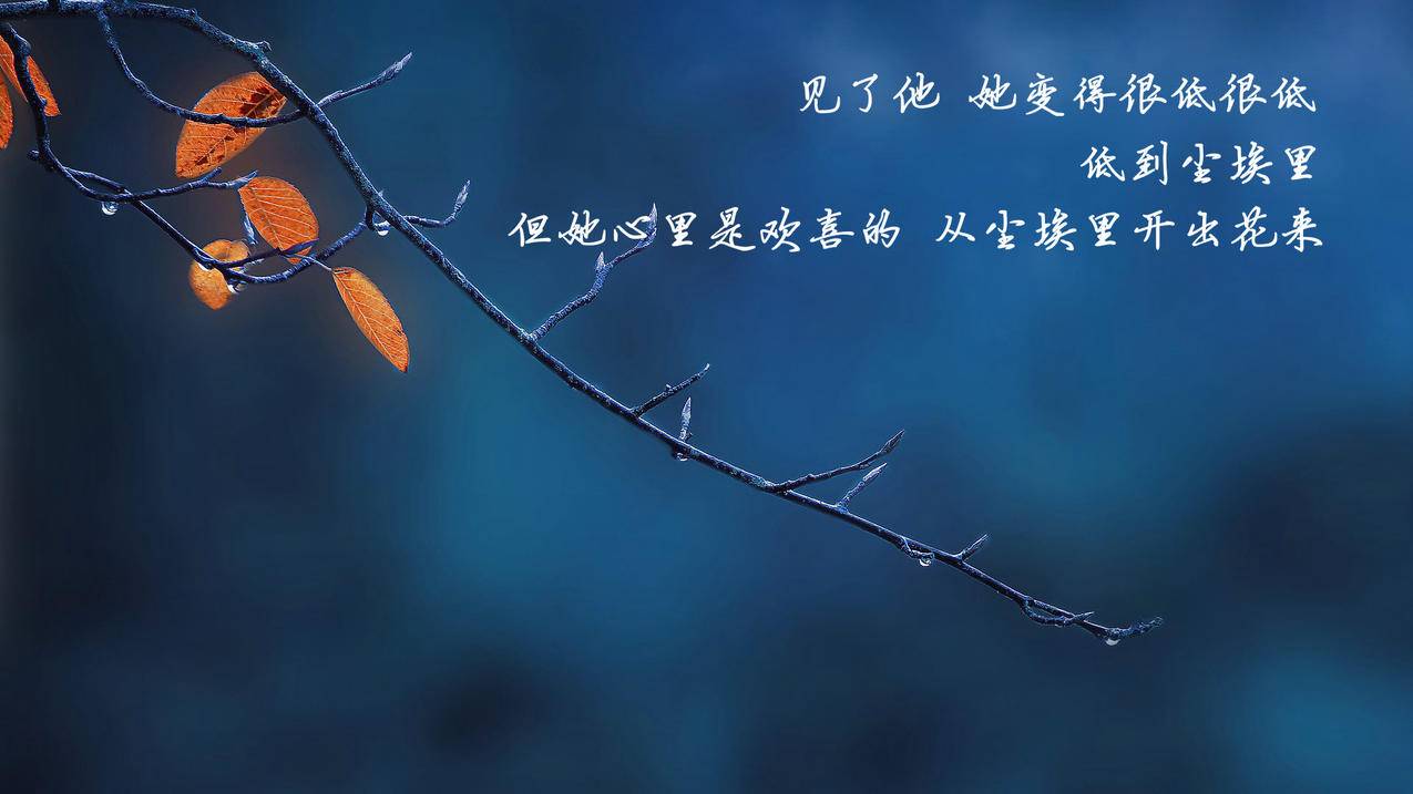 hero-image